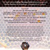 New Beekeeping Course Come to Dublin!